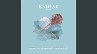 YOUNOTUS - Pandora (Nils Hoffmann Remix)