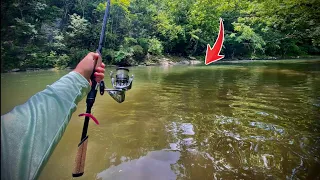 Wading a SECRET Creek for SMALLMOUTH BASS (Early Summer Fishing)