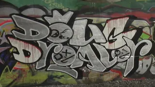 MR. DOUG DREALER - Graffiti Video - RAW Audio - Stompdown Killaz