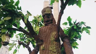 Enchanted Tree Stilt Walkers