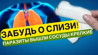 2 КУСКА В ДЕНЬ И ЛЁГКИЕ КАК НОВЫЕ! Бабушка Съела БАНКУ  Улучшила ПАМЯТЬ, ИЗБАВИЛАСЬ ОТ ПАРАЗИТОВ