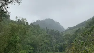 5 days alone to complete a garden in the forest from bamboo