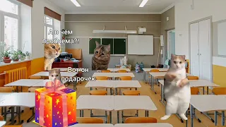 СЕЗОН 1 POV — Все серии 1-3