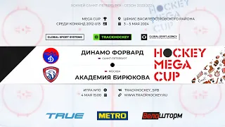 Динамо Форвард - Академия Бирюкова / Турнир "MEGA CUP" среди команд 2012 г.р.