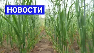 Новостной выпуск в 19:00 от 21.09.21 года. Информационная программа «Якутия 24»