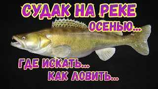 ОСЕННИЙ СУДАК НА РЕКЕ...КАК ПОЙМАТЬ? ГДЕ ИСКАТЬ???