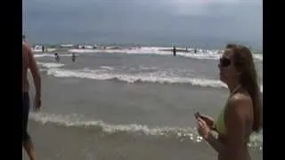 5 Foot Shark with small kids near by swimming.