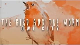 The Bird and the Worm || Owl City || Traducida al español