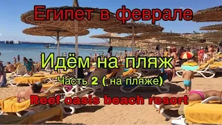 ЕГИПЕТ 2020🔴REEF OASIS BEACH RESORT 5*🔴Египет Зимой🔴 Sentido🔴Пляж🔴(Часть3)