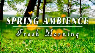 🌿🌞 Fresh Morning Meditation 🌼8h Nature Therapy to Start Your Day with Positive Energy🌿Healing Spring