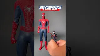 Size Comparison: Hot Toys The Amazing Spider-Man #spiderman #shorts #marvel #hottoys #comparison