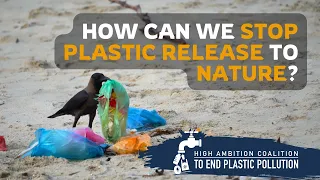 HAC on Plastic Treaty provisions to eliminate the release of plastic in nature