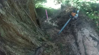 Plowing Through With A 5' 7" FATTY