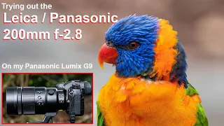 Leica / Panasonic 200mm F-2.8 Lens: first impressions and photos shot on my Lumix G9.