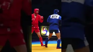 Combat Sambo Knockouts  |  Sambo Nation