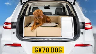 Genesis X Dog - A Luxurious Ride for Dogs