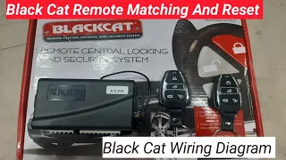 Black Cat Remote Matching and Reset With Full Wiring Diagram