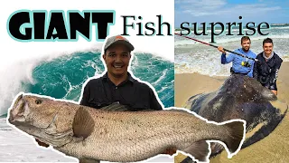 When the stars and the moon align! GIANT MULLOWAY SUPRISE!! // CRAZY DAY ON THE BEACH!