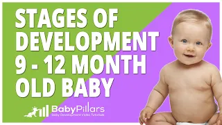 Stages of Development in Babies and Infants 6-9 Month by BabyPillars.