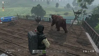 DayZ : bear flying in the air