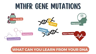 MTHFR Gene Mutations: Health Conditions, Symptoms, and Treatments Explained