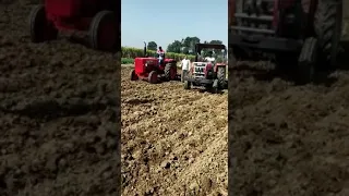 Mahindra 575 Xp Plus vs Massey Ferguson 245 with 9 tine tiller full lever down💪