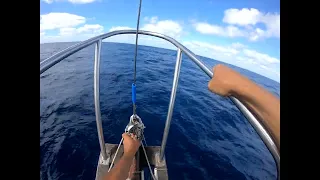 Headsail Change and Shaking Out a Reef in the NE Trades on a Flicka 20