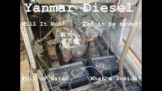 Will It Start? Seized Yanmar Diesel Boat Engine