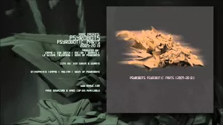 Psyrobots - Κουκλοθέατρο (Produced by Empne)