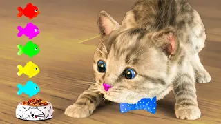CARTOON LITTLE KITTEN ADVENTURE - FUNNY CAT AND SUPER FUN PET CARE GAMES