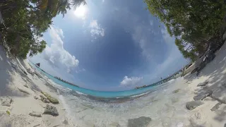 Beach Chill Daylight 8k VR 360 stereo