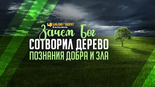 Зачем Бог сотворил дерево познания добра и зла? | "Библия говорит" | 1142