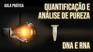 Quantificação e análise de pureza de DNA e RNA - aula prática