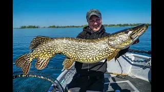 Kurbeln für das Müritz Monster - Hechte angeln im Freiwasser