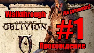Прохождение TES: Oblivion [No comments] / Игрофильм / Серия 1 / Долгая дорога в Кватч и первые врата