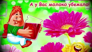 💛💛💛С Днем Смеха. Поздравление с 1 апреля. Музыкальная видео открытка