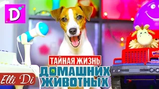 ПЕСНЯ ТАЙНАЯ ЖИЗНЬ ДОМАШНИХ ЖИВОТНЫХ | СОБАКА ДЖИНА ПОЁТ | Elli Di Собаки