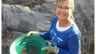 Gold Panning at Lynx Creek in The Prescott National Forest