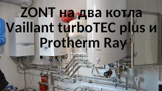 ZONT на два котла Vaillant turboTEC plus и Protherm Ray. Кривая котельная