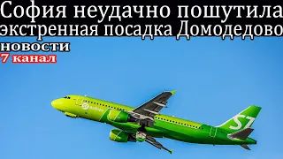 Вынужденной посадкой в аэропорту Домодедово закончился паллет самолета после неудачной шутки Софии.