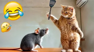 Funniest 2024😍Cats and 🥒 Cucumbers - Awesome Funny Pet Videos 😻🐕‍🦺#3