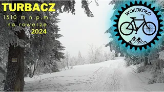 TURBACZ 1310 m n.p.m. 14.01.2024, na rowerze zimą !!!