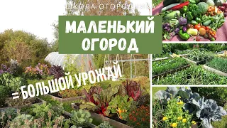 Маленький огород. Что делать? / Как увеличить продуктивность своего маленького огорода