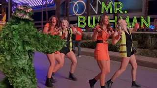 Loving the Laughs of the Night • Bush Around the Corner • Mr. Bushman Pranks Las Vegas 4k