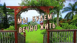 Мы будем вечно жить...