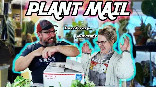 Huge House Plant Unboxing & Mail 2020