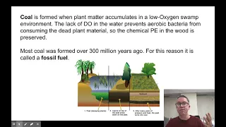 Fuel Types: Biomass and Coal