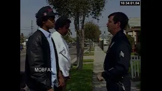 A Day In The Life Of The LAPD (1991)