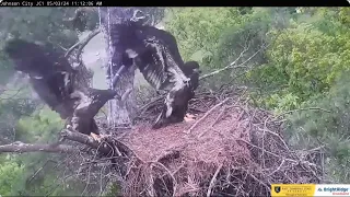 JC23 and JC24 will soon take their first flight ETSU Eagle Cameras Johnson City Cam 1