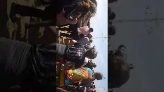 Hatebreed mosh pit download 2018